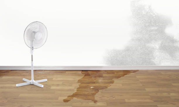 Best Water damage contractors near me  in Stroud, OK