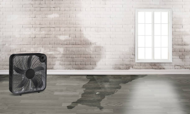 Best Emergency water damage restoration  in Stroud, OK
