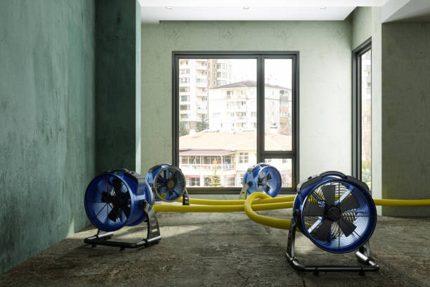 Best Mold removal after water damage  in Stroud, OK